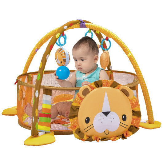 Play Gym Mat